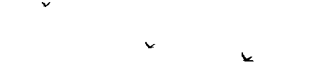 top image